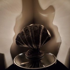 Cape home shell lamp